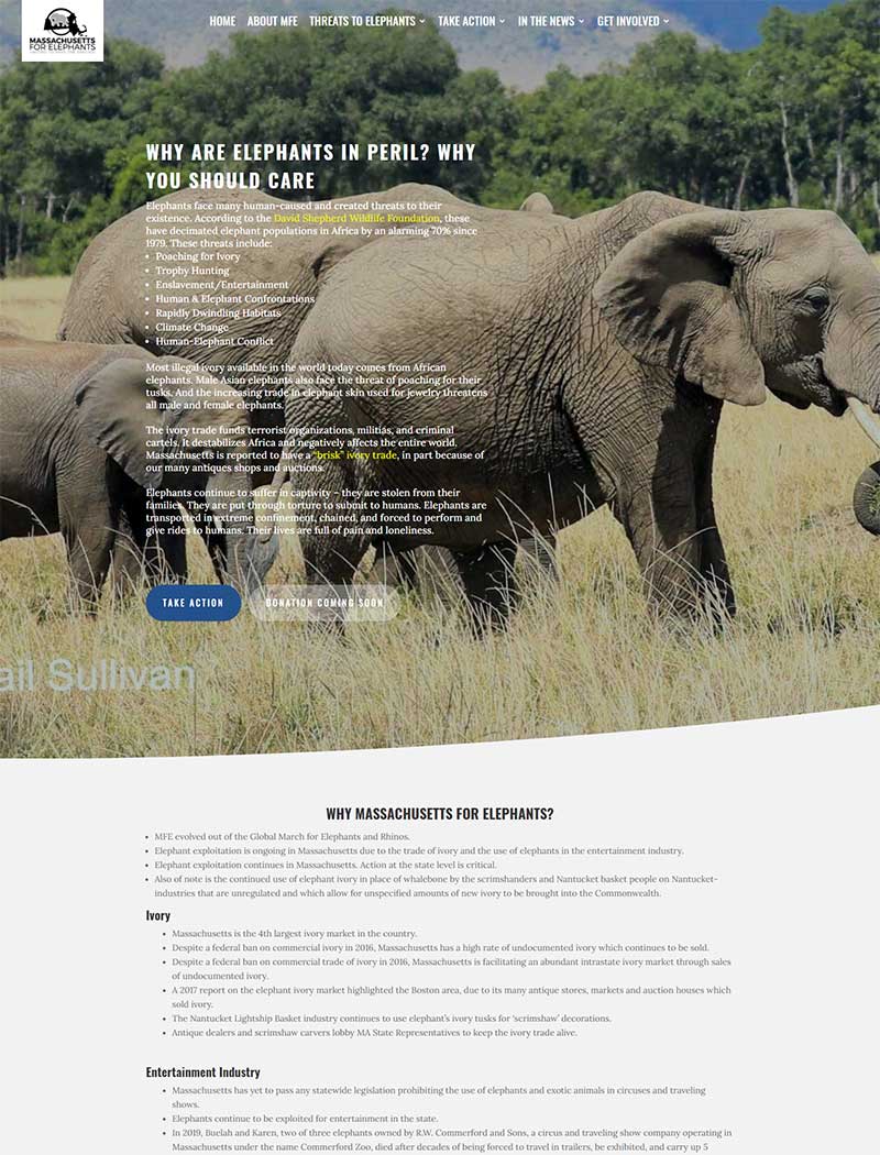 Massachusetts for Elephants