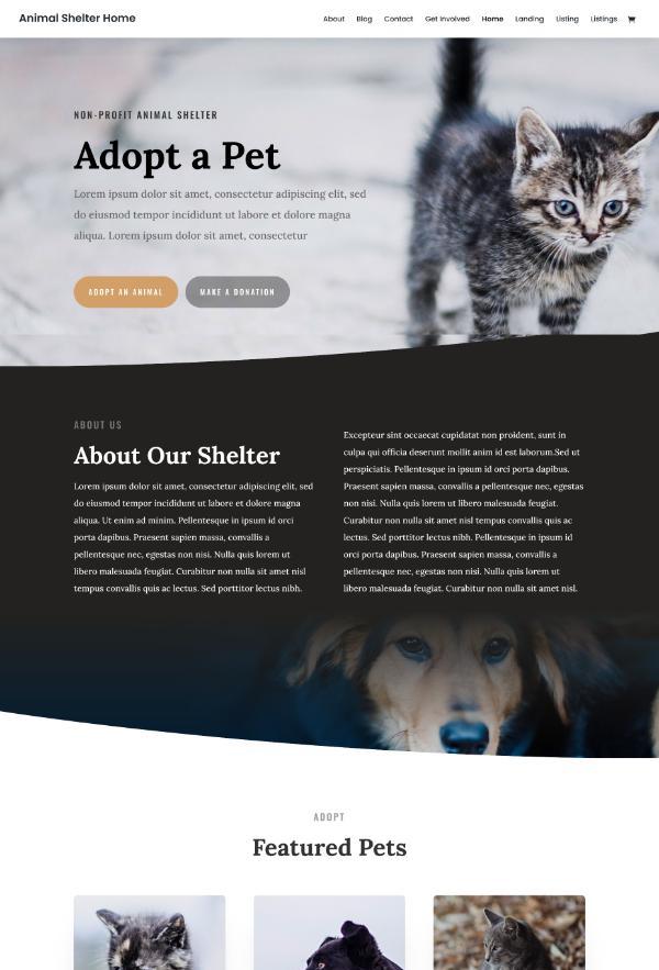 Animal Shelter
