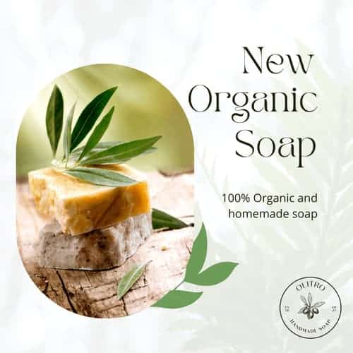 Organic Soap Post